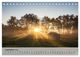 Thumbnail-14