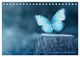 Thumbnail-12