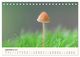 Thumbnail-13