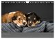 Thumbnail-12