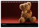 Thumbnail-8
