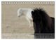 Thumbnail-13