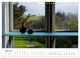 Thumbnail-9