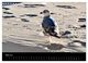 Thumbnail-10