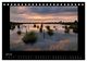 Thumbnail-12