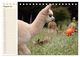 Thumbnail-13