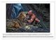 Thumbnail-12