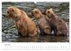 Thumbnail-11