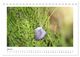 Thumbnail-12