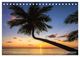 Thumbnail-11