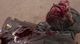 Thumbnail-10