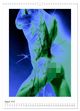 Thumbnail-11