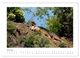 Thumbnail-11
