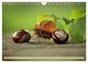 Thumbnail-14
