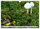 Thumbnail-8