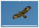 Thumbnail-7