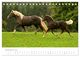 Thumbnail-14