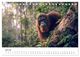 Thumbnail-12