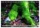 Thumbnail-7