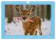 Thumbnail-14