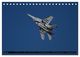 Thumbnail-12