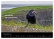 Thumbnail-12