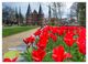 Thumbnail-8