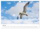 Thumbnail-8