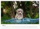 Thumbnail-10