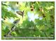 Thumbnail-11