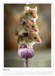 Thumbnail-11