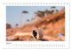 Thumbnail-9