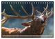 Thumbnail-14