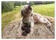 Thumbnail-9