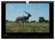 Thumbnail-12