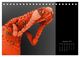 Thumbnail-14