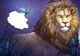 Thumbnail-2