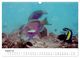 Thumbnail-13