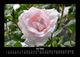 Thumbnail-10