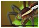 Thumbnail-13