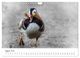 Thumbnail-10