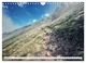 Thumbnail-10
