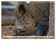 Thumbnail-10