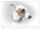 Thumbnail-8