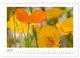 Thumbnail-12