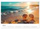 Thumbnail-12