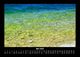 Thumbnail-9