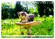 Thumbnail-11
