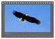 Thumbnail-10