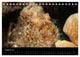 Thumbnail-10